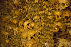 The Paris Catacombs