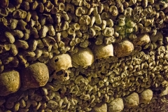 The Paris Catacombs