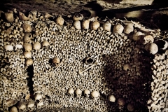 The Paris Catacombs