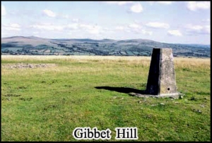 Highwaymen were once hung at Gibbet hill, Dartmoor