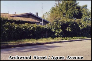 North Hollywood Bank Shoot-Out, Los Angeles