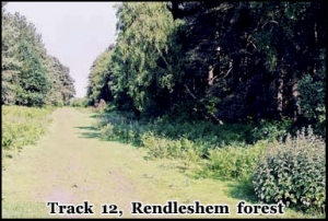 Rendlesham Forest UFO - Track 12